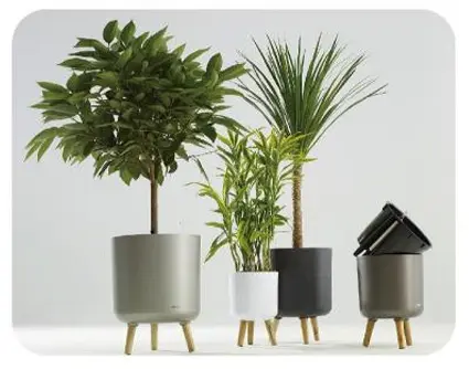 Self-watering planters