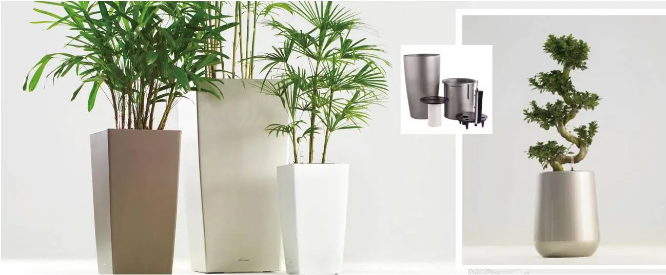 Self Watering Planters