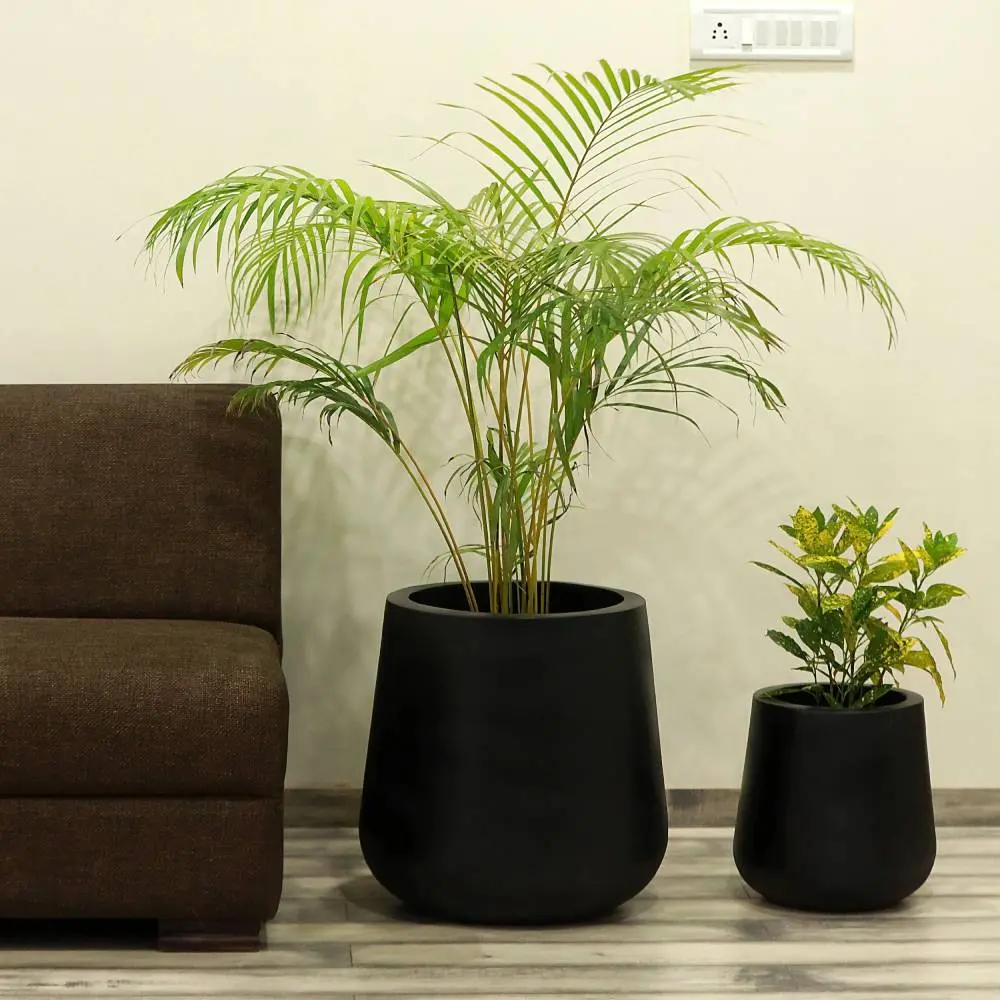 large_planter_POT_003_5.webp