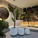 Large_planter_pot_33_1.webp