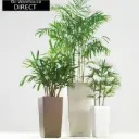 Self Watering Planter Pots - GQ Series